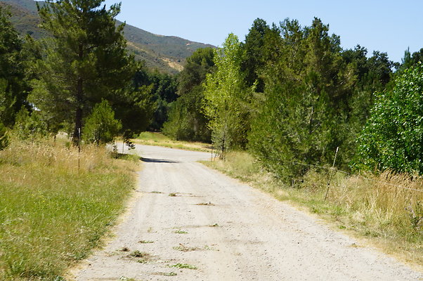 GOR.Heil.Cyn.028 GOR.Heil.Cyn.028