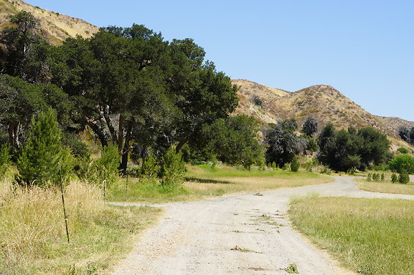 GOR.Heil.Cyn.009 GOR.Heil.Cyn.009