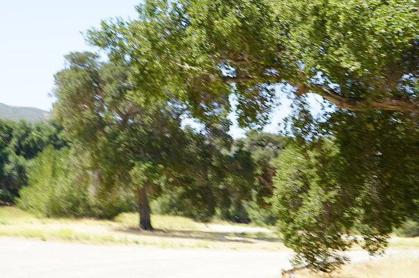 GOR.Heil.Cyn.032 GOR.Heil.Cyn.032