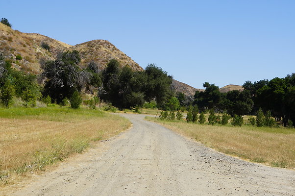 GOR.Heil.Cyn.011 GOR.Heil.Cyn.011