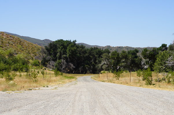 GOR.Heil.Cyn.018 GOR.Heil.Cyn.018