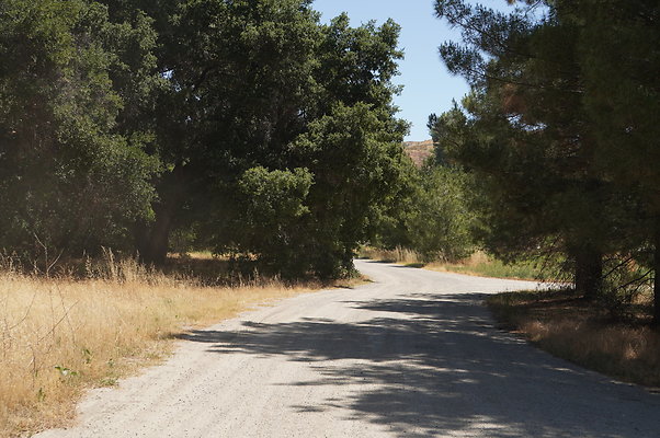 GOR.Heil.Cyn.002 GOR.Heil.Cyn.002