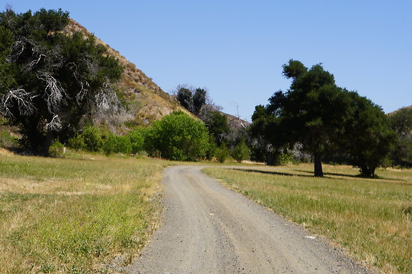 GOR.Heil.Cyn.014 GOR.Heil.Cyn.014