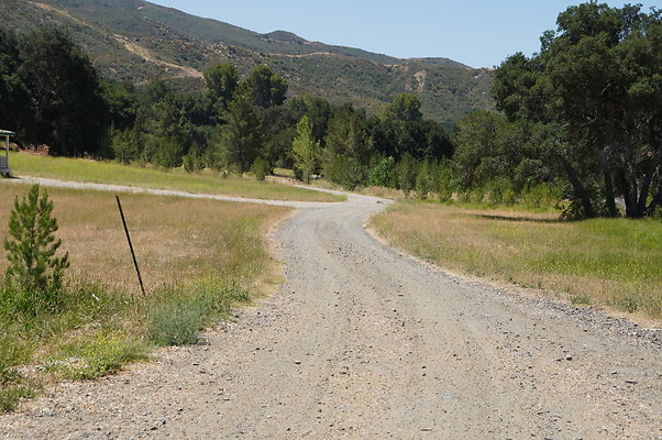 GOR.Heil.Cyn.025 GOR.Heil.Cyn.025