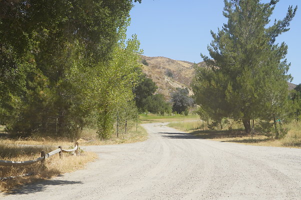 GOR.Heil.Cyn.008 GOR.Heil.Cyn.008