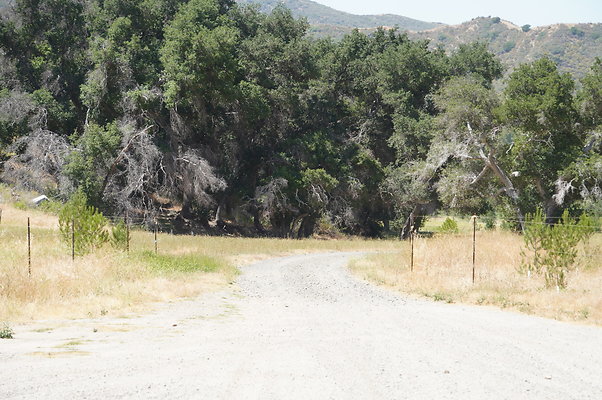 GOR.Heil.Cyn.019 GOR.Heil.Cyn.019