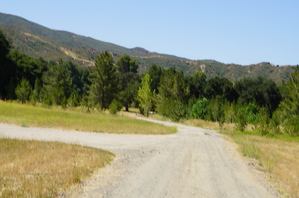 GOR.Heil.Cyn.027 GOR.Heil.Cyn.027