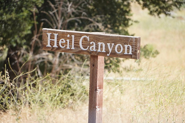 GOR.Heil.Cyn.035 GOR.Heil.Cyn.035