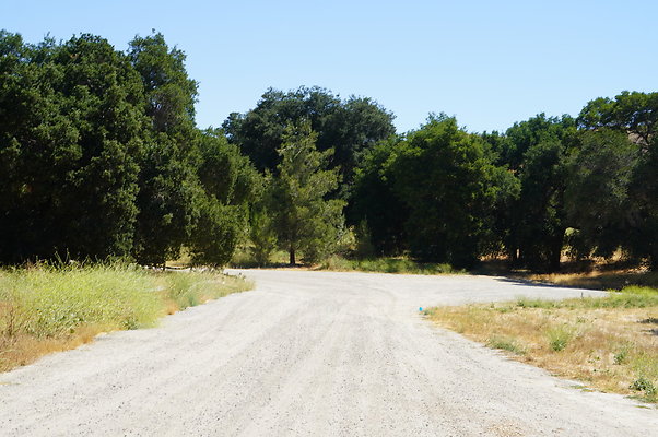 GOR.Heil.Cyn.005 GOR.Heil.Cyn.005