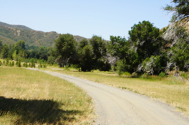 GOR.Heil.Cyn.022 GOR.Heil.Cyn.022