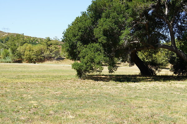 GOR.West.Med.Road.040 GOR.West.Med.Road.040