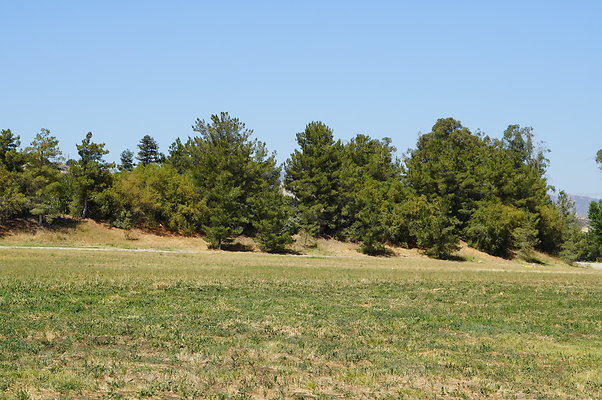 GOR.West.Med.Road.029 GOR.West.Med.Road.029