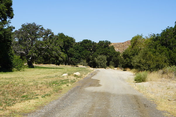 GOR.West.Med.Road.004 GOR.West.Med.Road.004