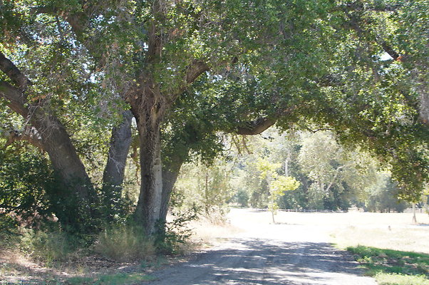 GOR.West.Med.Road.017 GOR.West.Med.Road.017