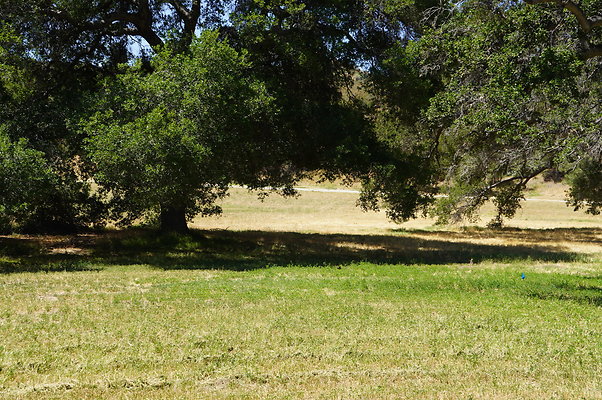 GOR.West.Med.Road.042 GOR.West.Med.Road.042