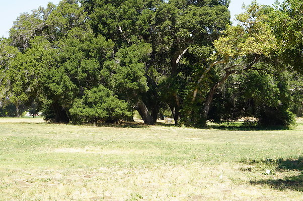 GOR.West.Med.Road.032 GOR.West.Med.Road.032