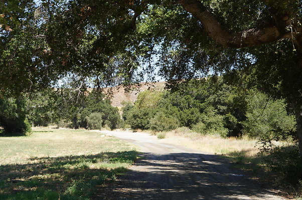 GOR West Meadow Road