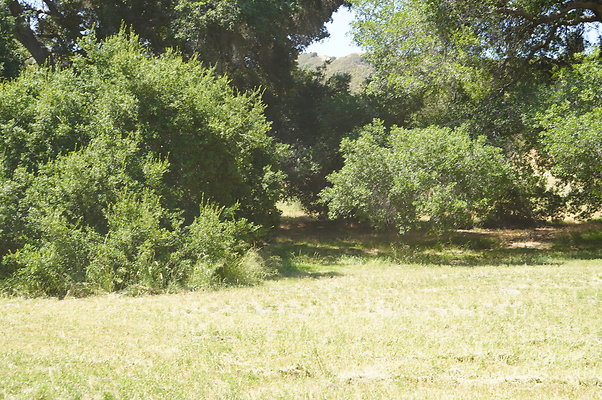 GOR.West.Med.Road.041 GOR.West.Med.Road.041