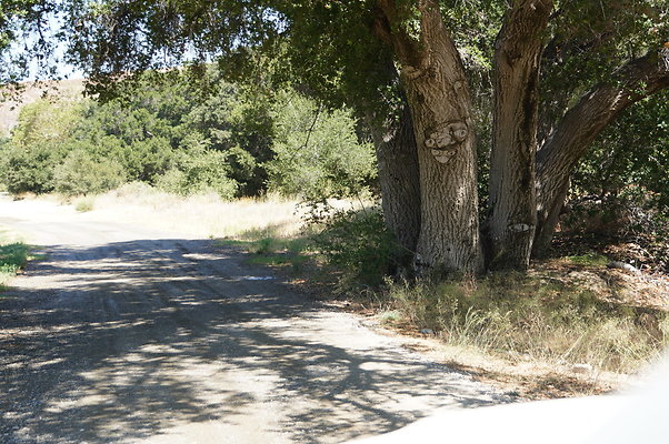 GOR.West.Med.Road.002 GOR.West.Med.Road.002