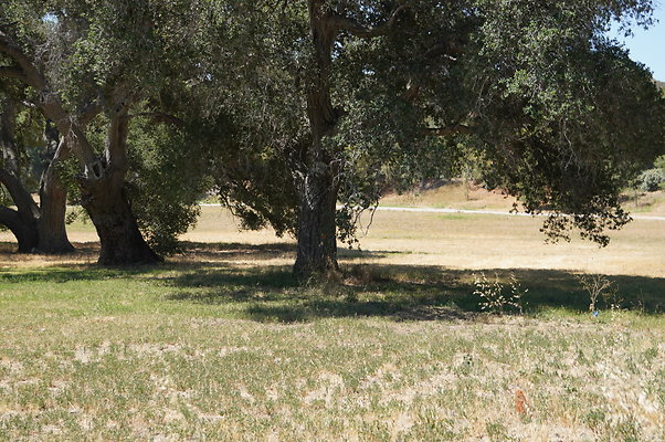 GOR.West.Med.Road.044 GOR.West.Med.Road.044