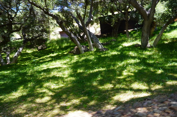 Canyon.Ranch.VenCo.131