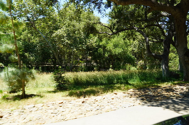 Canyon.Ranch.VenCo.243