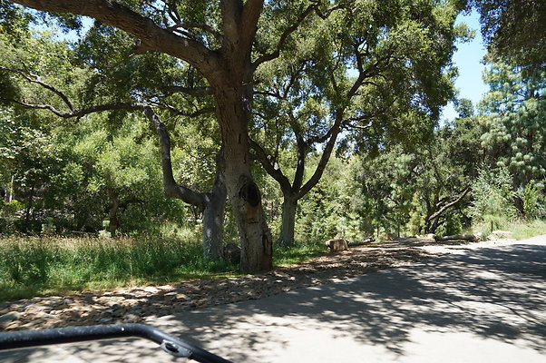 Canyon.Ranch.VenCo.132