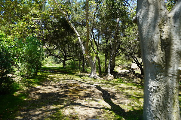 Canyon.Ranch.VenCo.093