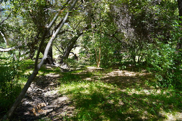 Canyon.Ranch.VenCo.090