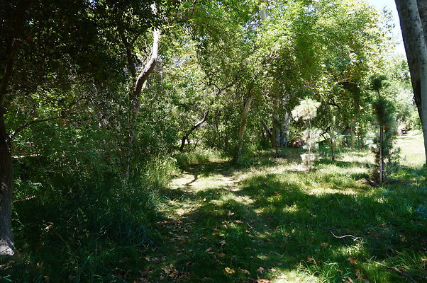 Canyon.Ranch.VenCo.113