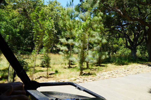 Canyon.Ranch.VenCo.078