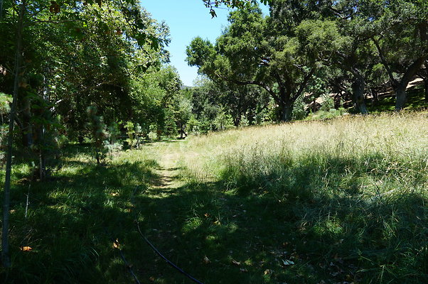 Canyon.Ranch.VenCo.116
