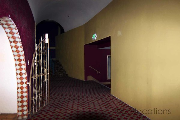 IMG 3290