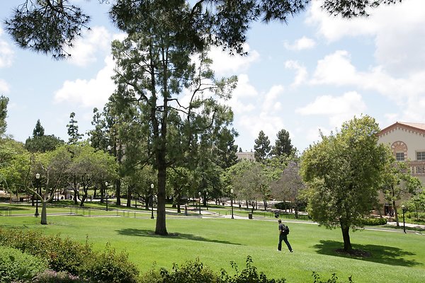 grassy-hillside 32268580487 o