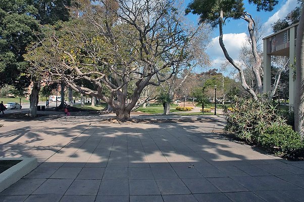 schoenberg-terrace 33334495048 o