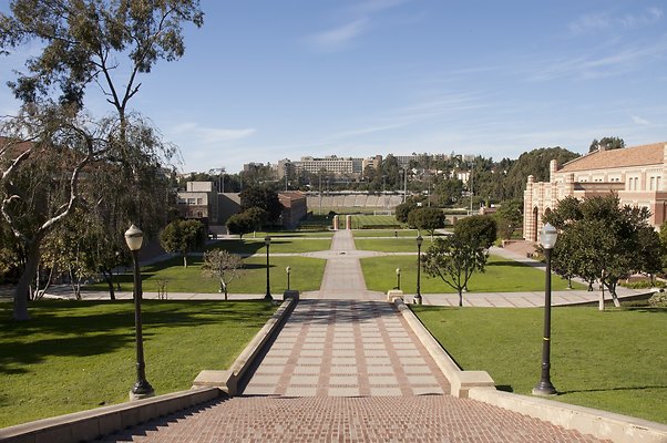 janss-steps 47158691132 o