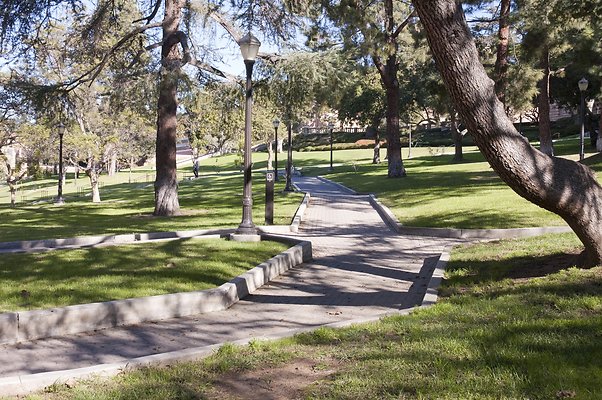 bruin-walk 47158692432 o