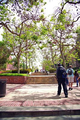 bruin-walk 32268581457 o