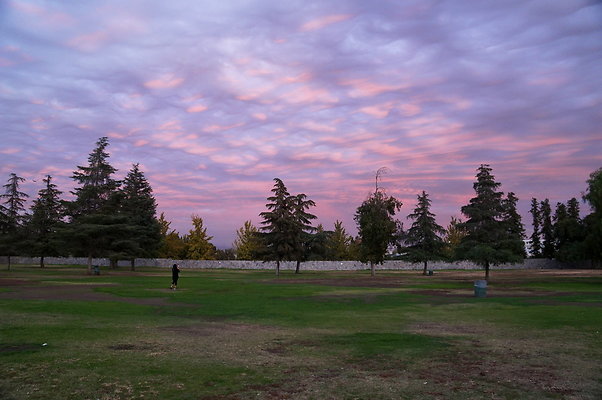 Woodley.Park.08
