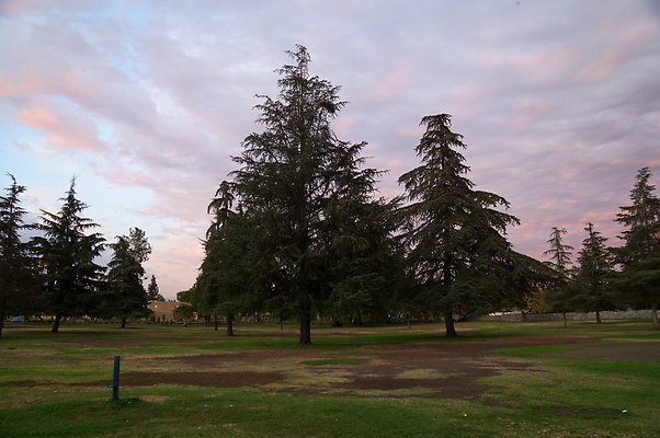 Woodley.Park.07