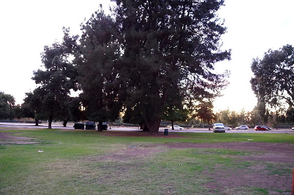 Woodley.Park.45