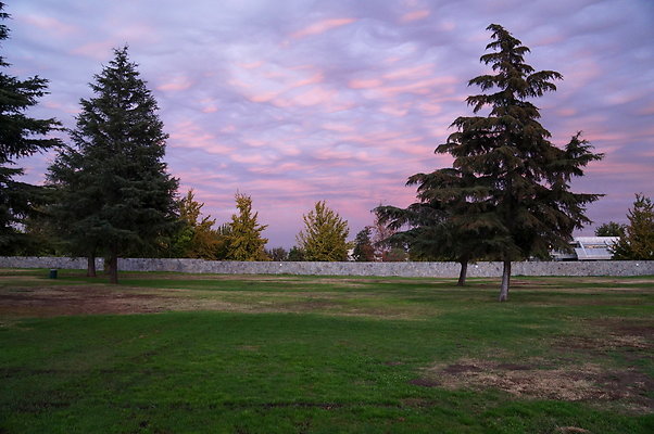 Woodley.Park.14