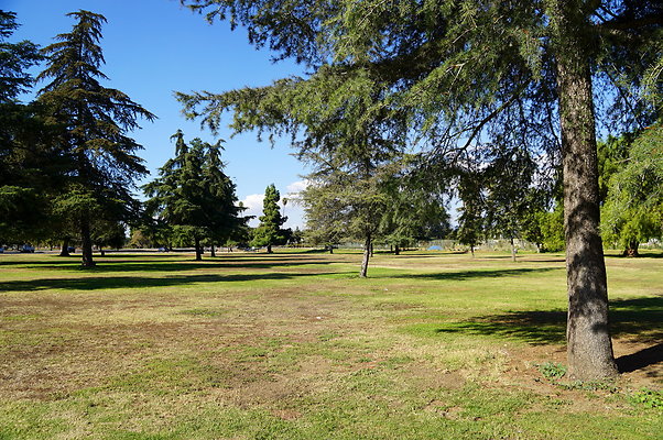 Woodley.Park.Sec.1.Green.29