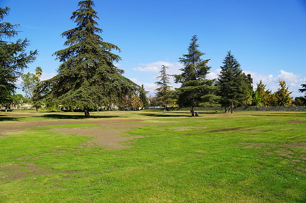 Woodley.Park.Sec.1.Green.19