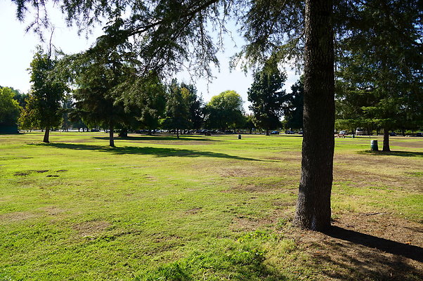 Woodley.Park.Sec.1.Green.37