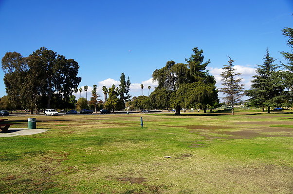 Woodley.Park.Sec.1.Green.17