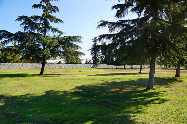 Woodley.Park.Sec.1.Green.28