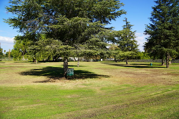 Woodley.Park.Sec.1.Green.23