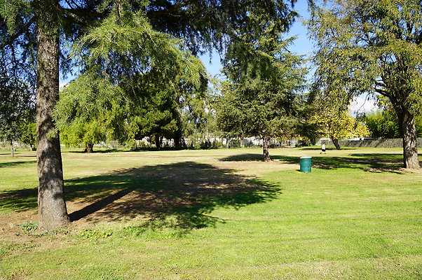 Woodley.Park.Sec.1.Green.30