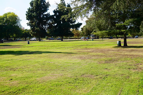 Woodley.Park.Sec.1.Green.47